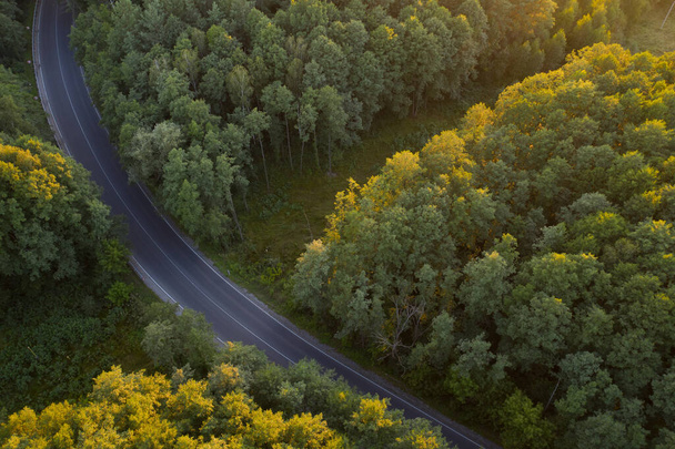 Вид с воздуха на утренний лес с асфальтированной дорогой. - Фото, изображение