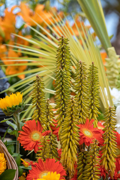 Belleza decoración florística con coloridas flores tropicales  - Foto, imagen
