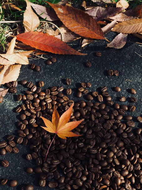 Chicchi di caffè torrefatto e foglie d'acero - Foto, immagini