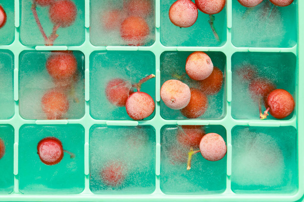 冷凍庫用の緑色のシリコーン型に冷凍された赤い果実。クローズアップでの食用氷のキューブの背景. - 写真・画像