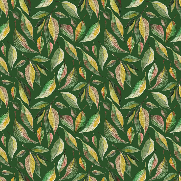 Green leaves watercolor seamless pattern. Botanical painting illustration on green background. Summer Hand drawn illustration. Herbs for cosmetics, package, textile, cards, decoration - Foto, afbeelding