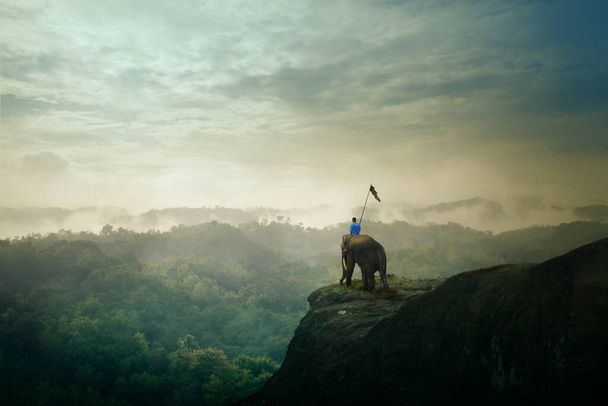 Rebanho de elefantes nas terras altas - Foto, Imagem