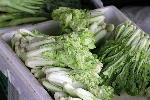 Chinese cabbage or napa cabbage in the white rectangular plastic basket for sell in the fresh market. - Фото, изображение