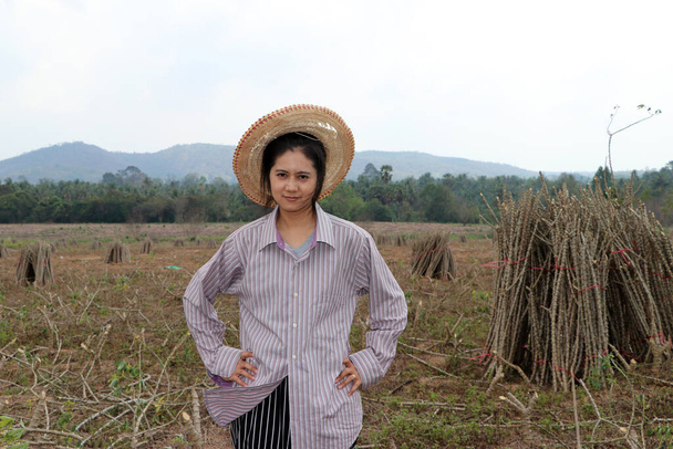 Agricoltrice in piedi con akimbo e l'arto della pianta di tapioca che tagliano la pila insieme nella fattoria di manioca. - Foto, immagini