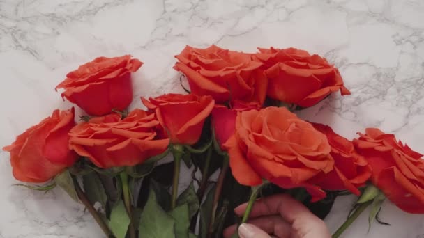 Bouquet of red on a marble background. - Footage, Video