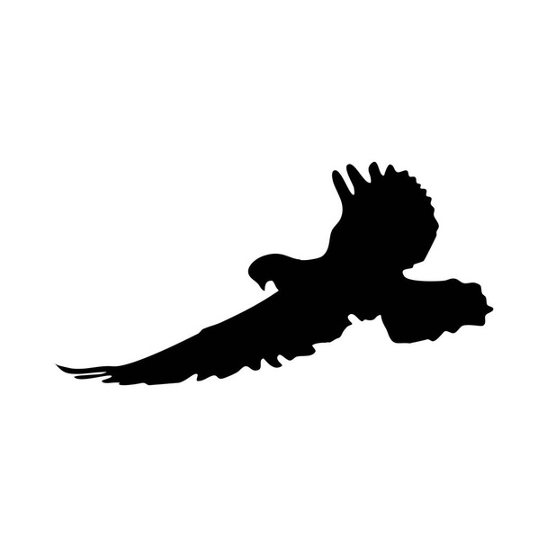 flying bird silhouette on a white background. silhouette pigeon flying. Vector illustration eps - Vector, Image