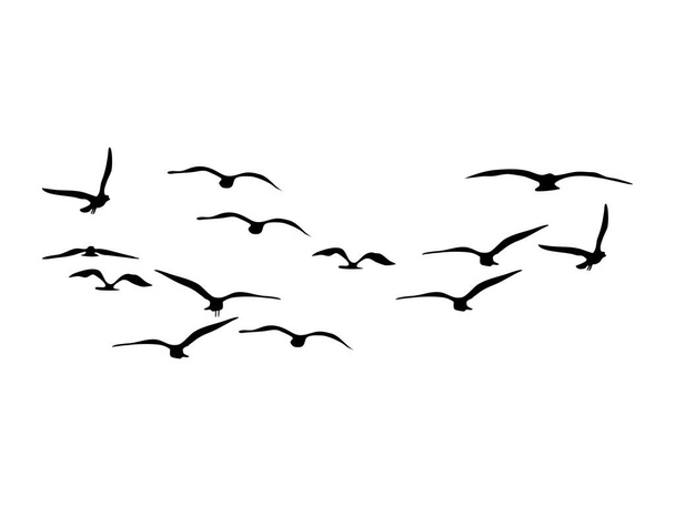 silhouette gregge di uccelli volanti. uccelli volanti su sfondo bianco. illustrazione vettoriale eps - Vettoriali, immagini