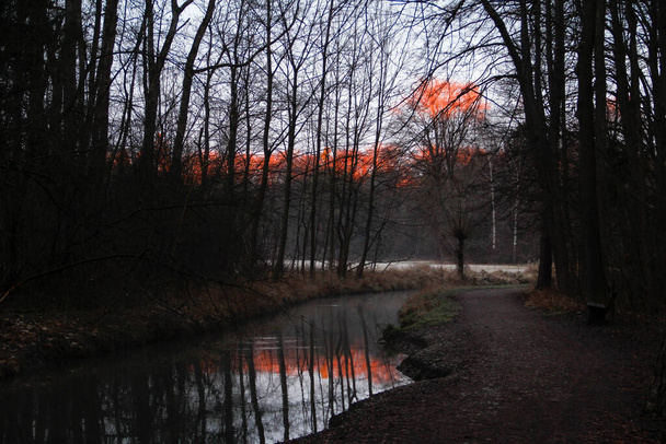 Wschód słońca nad potokiem w lesie - Zdjęcie, obraz