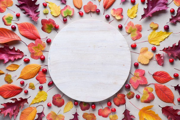 Fall circular background with various Autumn leaves, red, orange and yellow. Flat lay on white stone background, copy-space. - Photo, image