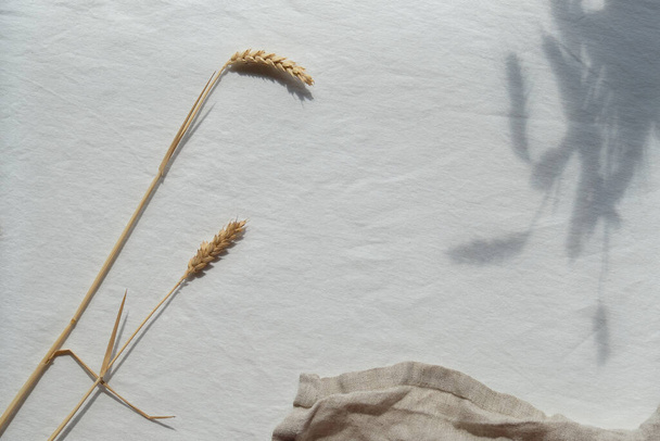 Panoramic flat lay with wheat ears and long shadows on white textile background. White linen tablecloth, top view. Minimal Autumn harvest concept. - Foto, Bild