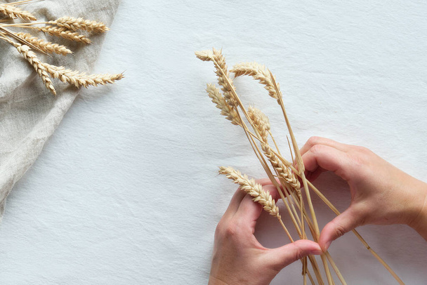 Happy Autumn holiday! Hands with wheat ears show heart sign. Flat lay on white textile background. - Fotoğraf, Görsel