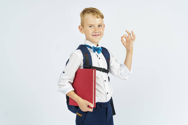 A schoolboy with a briefcase holds books in his hands and shows the gesture ok. Isolated background. Education concept - Фото, зображення
