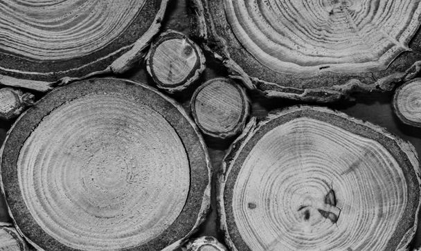 Cortar árbol agrietado textura de la superficie del muñón. Corte de un árbol cruzado con anillos anuales de fondo, tablero de madera decorativa con un patrón. foto en blanco y negro - Foto, Imagen
