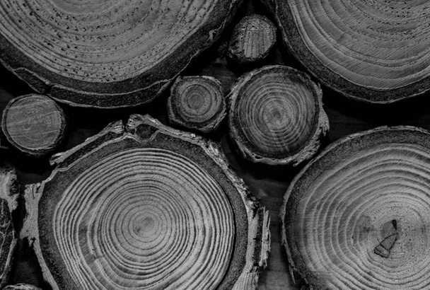 Kesik ağaç gövdesi çatlamış. Yıllık halka zeminli çapraz ağaç kesme, desenli dekoratif ahşap tahta. siyah beyaz fotoğraf - Fotoğraf, Görsel