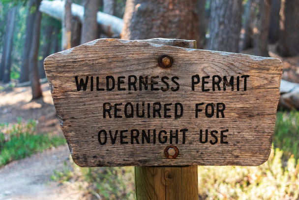 Разрешение на ночлег на деревянном столбе в национальном лесу. - Фото, изображение