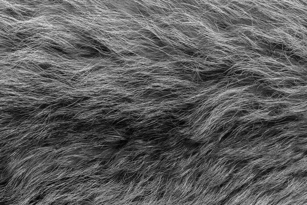 Black and white animal wool texture background, grey natural  wool, close-up texture of  plush dark fur - Foto, Imagem