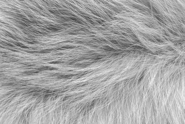 Black and white animal wool texture background, grey natural  wool, close-up texture of  plush dark fur - Photo, Image