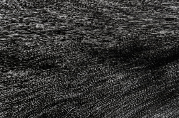 Černá a bílá zvířecí vlna textura pozadí, šedá přírodní vlna, zblízka textura plyšové tmavé kožešiny - Fotografie, Obrázek