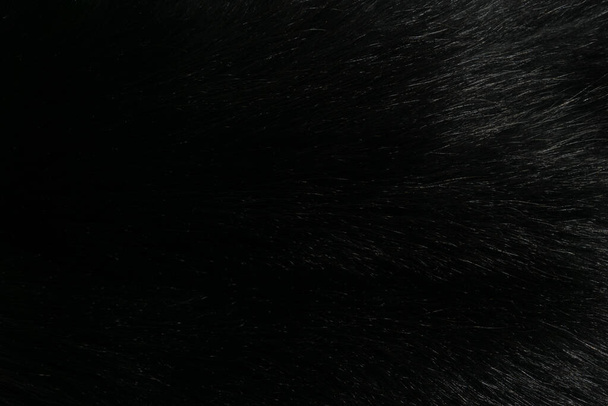 Black and white animal wool texture background, grey natural  wool, close-up texture of  plush dark fur - Foto, Imagem