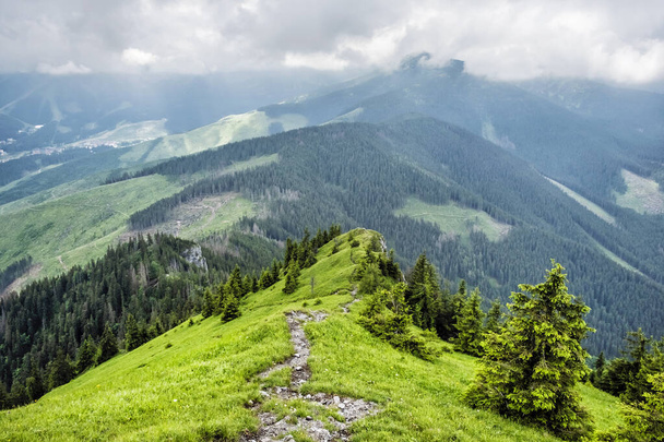 Θέα από την κορυφή Sina, κοιλάδα Demanovska, χαμηλά βουνά Tatras, Σλοβακία. Θέμα πεζοπορίας. Εποχιακή φυσική σκηνή. - Φωτογραφία, εικόνα
