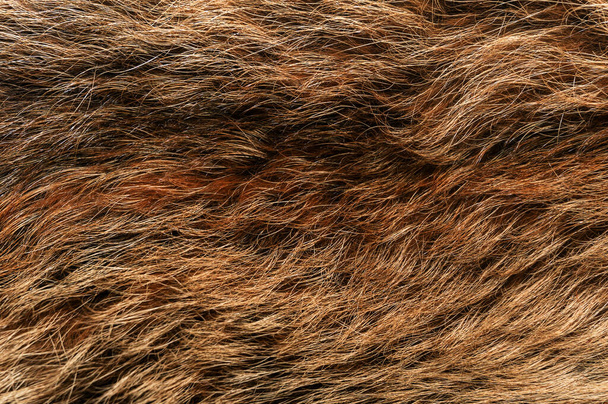 Textura de fondo de piel animal natural. lana marrón primer plano - Foto, Imagen