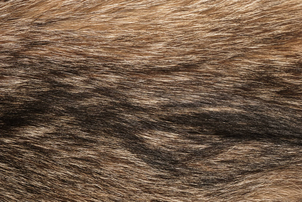 Натуральная текстура меха животных. коричневая шерсть крупный план - Фото, изображение