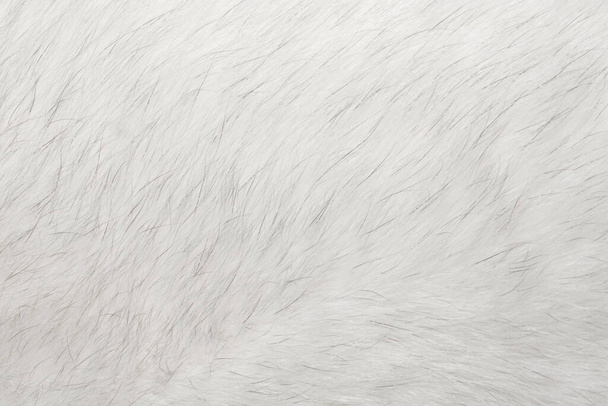 Texture de fond en fourrure animale naturelle. gros plan blanc en laine de renard arctique (polaire) - Photo, image