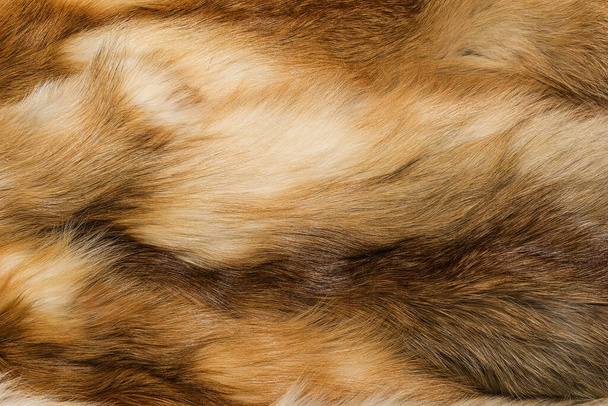 Textura de fondo de piel animal natural. lana de zorro amarillo primer plano - Foto, Imagen
