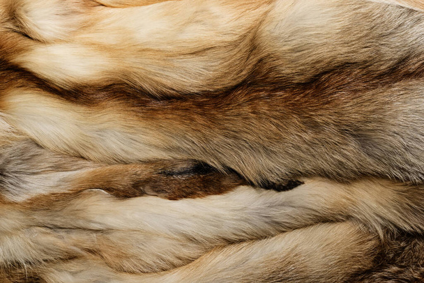 Texture de fond en fourrure animale naturelle. Gros plan sur la laine de renard jaune - Photo, image