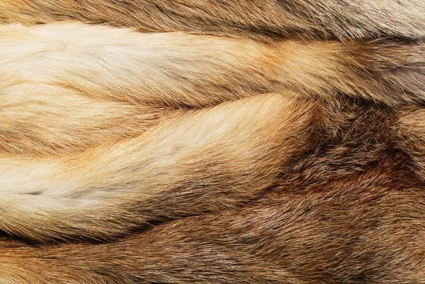 Textura de fundo de pele animal natural. lã de raposa amarela close-up - Foto, Imagem
