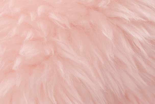 Roze dierlijke wol textuur achtergrond. Rosy tint natuurlijke wol. Close-up textuur van pluche pluizig bont - Foto, afbeelding