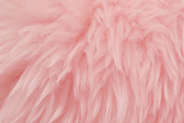 ピンクの動物のウールの質感の背景。バラ色の色合いの天然ウール。ふっふっふっふっふっふっふっふっふっ。 - 写真・画像