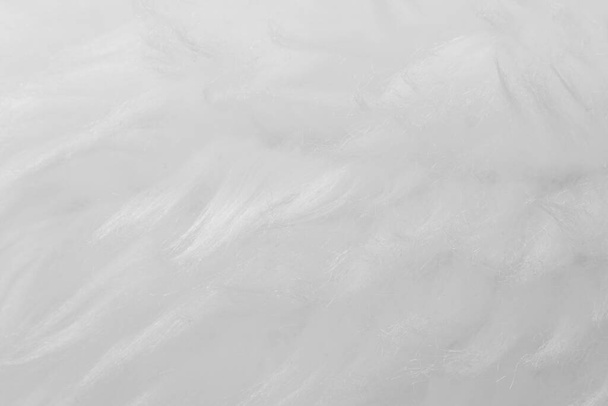 Fundo de textura de lã animal branco. Tintura bege lã natural. Textura close-up de pelúcia macia de pelúcia - Foto, Imagem