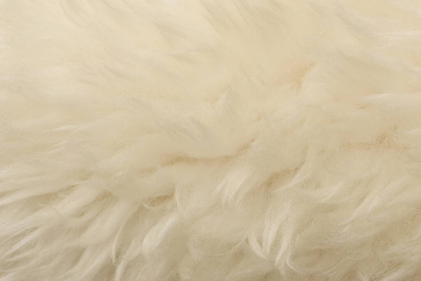 Белый фон текстуры шерсти животного. Бежевый оттенок натуральной шерсти. Крупный план текстуры плюшевого пушистого меха - Фото, изображение