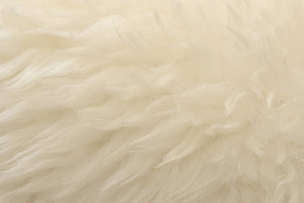 White animal wool texture background. Beige tint natural wool. Close-up texture of  plush fluffy fur - Photo, Image