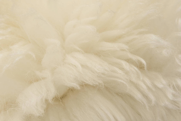 Fondo de textura de lana animal blanca. Tinte beige lana natural. Textura de primer plano de piel esponjosa de felpa - Foto, imagen