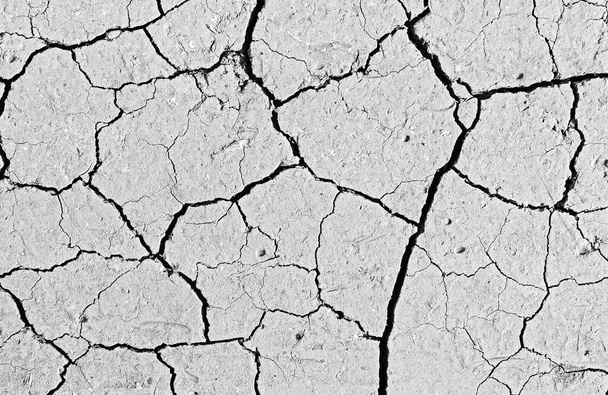 Fond de terre blanc séché et fissuré, Gros plan du sol sec fissuré, surface de fracture, texture blanche fissurée, pour concepteurs - Photo, image