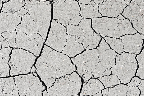 Fondo de tierra de tierra seca y agrietada blanca, primer plano de tierra de fisura seca, superficie de fractura, textura agrietada blanca, para diseñadores - Foto, Imagen