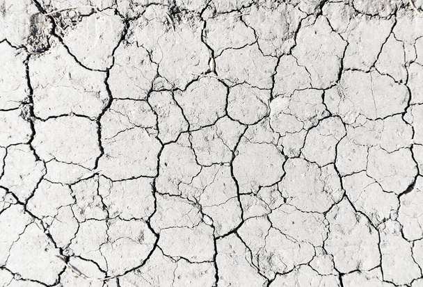 Witte gedroogde en gebarsten aarde achtergrond, Close-up van droge scheur grond, fractuur oppervlak, wit gebarsten textuur, voor ontwerpers - Foto, afbeelding