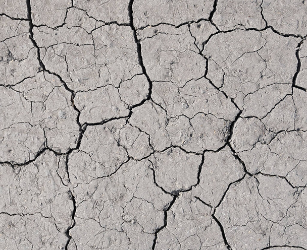 White earth with cracks texture background - Photo, Image