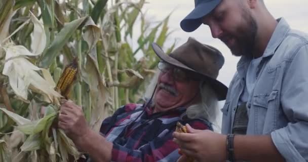 Cheerful elderly farmer showing corn to grandson - Footage, Video