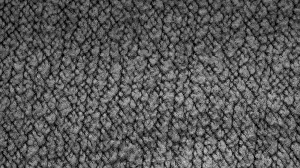 Doublure noire en tissu de laine, texture de fond gros plan - Photo, image