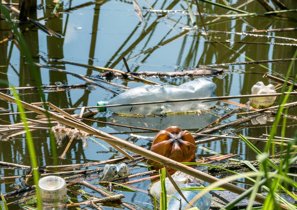 Πλαστικό μπουκάλι (PET) που επιπλέει σε λίμνη στο Βουκουρέστι της Ρωμαΐας. Έννοια πλαστικής ρύπανσης. - Φωτογραφία, εικόνα