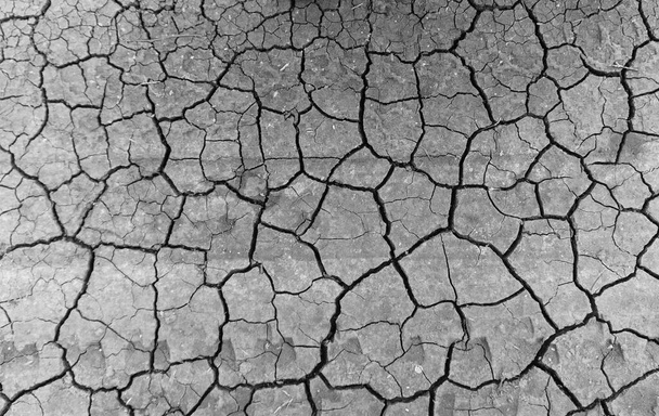 Fondo de tierra gris seco y agrietado. Primer plano de la fisura seca suelo oscuro. erosión - Foto, Imagen