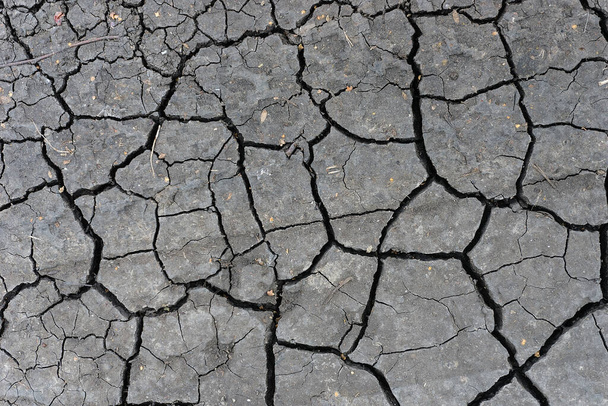 Grijs gedroogde en gebarsten aarde achtergrond. Close-up van droge spleet donkere grond. erosie - Foto, afbeelding