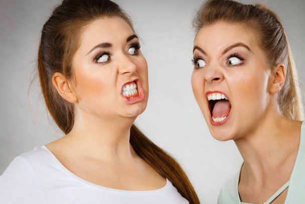 Two agressive women having argue fight being mad at each other. Female violance concept. - Foto, Imagem