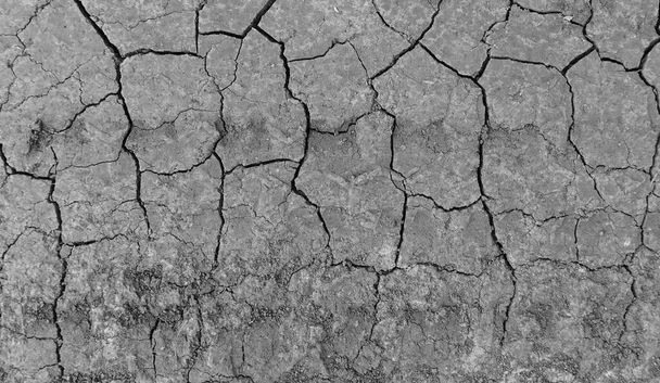 Grau getrockneter und rissiger Erdboden. Nahaufnahme eines trockenen, spaltenden dunklen Bodens. Erosion - Foto, Bild