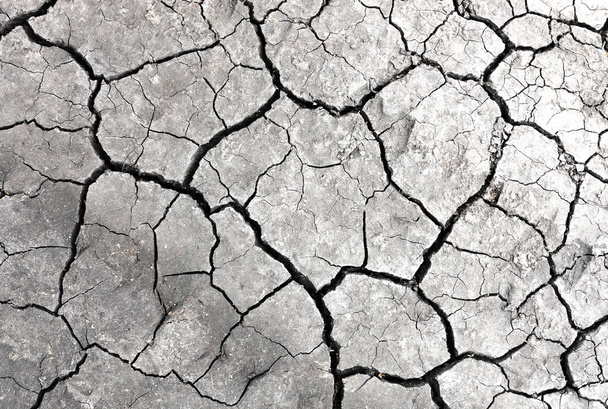 Grey dried and cracked ground earth background. Closeup of dry fissure dark ground. erosion - Photo, Image