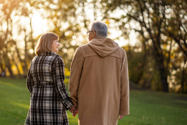 Romantic senior couple is walking in park in autumn. - Fotoğraf, Görsel