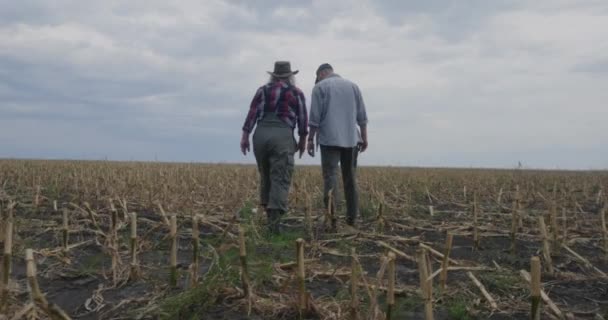 Anonieme boeren lopen in het veld en bespreken de oogst - Video